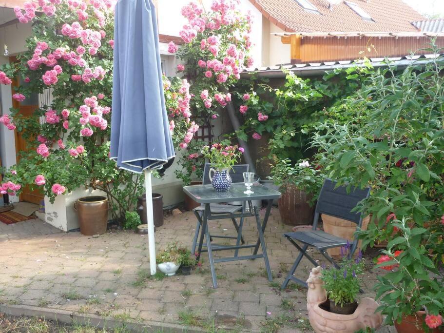 Apartamento Erpelhaus Utzberg Exterior foto